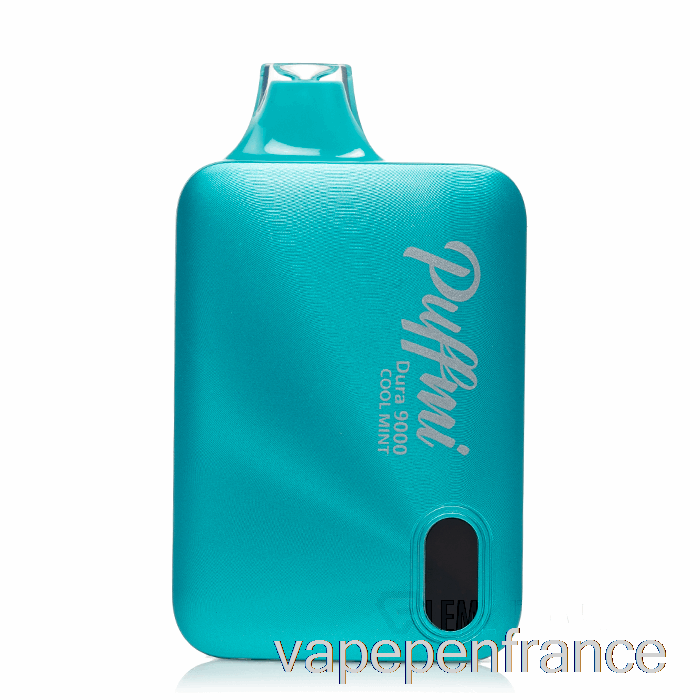 Puffmi Dura 9000 Stylo Vape Jetable à La Menthe Fraîche